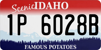 ID license plate 1P6028B