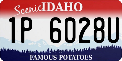 ID license plate 1P6028U