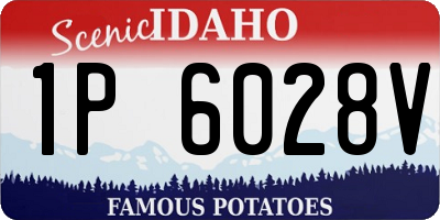 ID license plate 1P6028V
