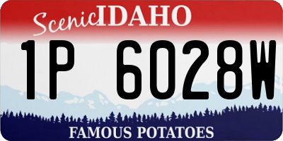 ID license plate 1P6028W