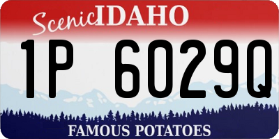 ID license plate 1P6029Q
