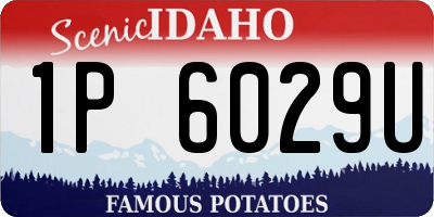 ID license plate 1P6029U