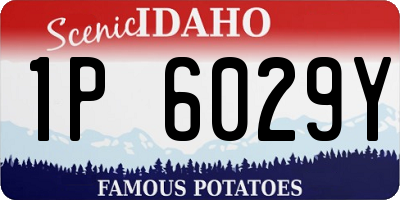 ID license plate 1P6029Y