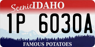 ID license plate 1P6030A