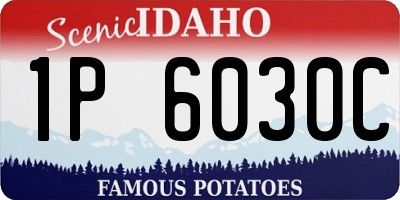 ID license plate 1P6030C