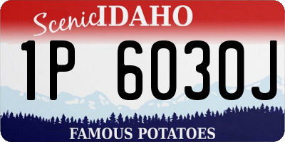 ID license plate 1P6030J