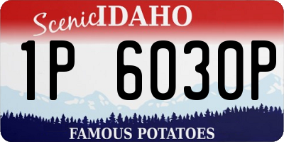 ID license plate 1P6030P