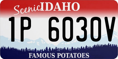 ID license plate 1P6030V