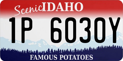 ID license plate 1P6030Y