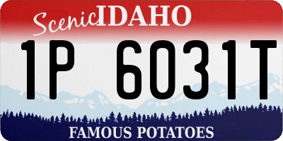 ID license plate 1P6031T