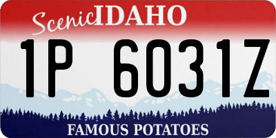ID license plate 1P6031Z