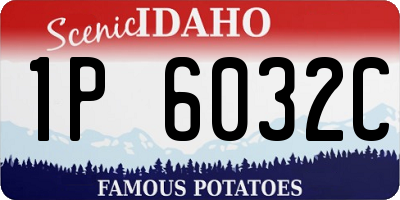 ID license plate 1P6032C