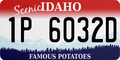ID license plate 1P6032D