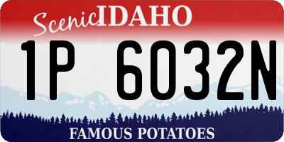 ID license plate 1P6032N