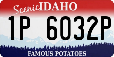ID license plate 1P6032P