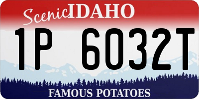 ID license plate 1P6032T