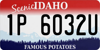 ID license plate 1P6032U