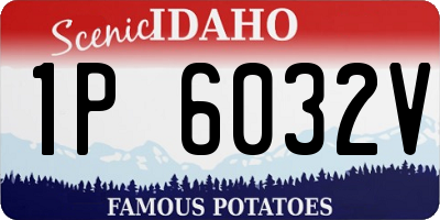 ID license plate 1P6032V