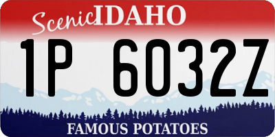 ID license plate 1P6032Z