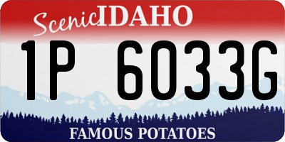 ID license plate 1P6033G