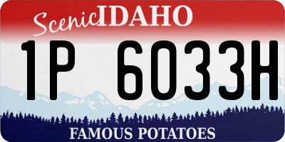 ID license plate 1P6033H