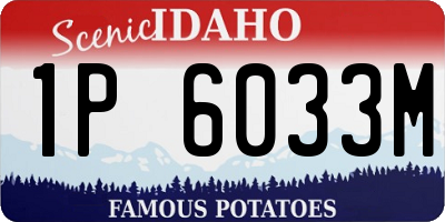 ID license plate 1P6033M