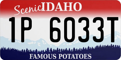 ID license plate 1P6033T
