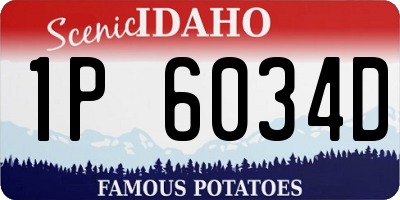 ID license plate 1P6034D