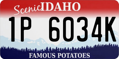 ID license plate 1P6034K
