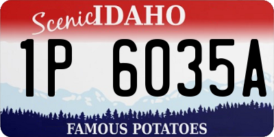 ID license plate 1P6035A