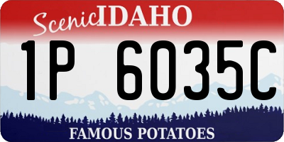 ID license plate 1P6035C