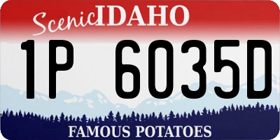 ID license plate 1P6035D