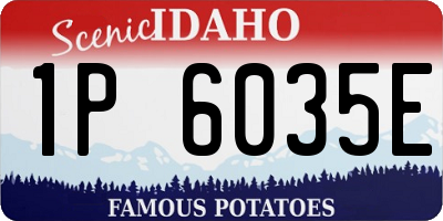 ID license plate 1P6035E
