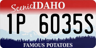 ID license plate 1P6035S