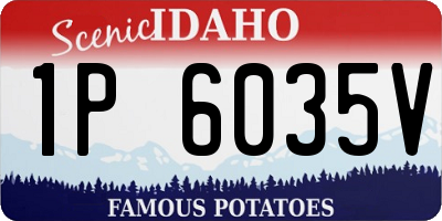 ID license plate 1P6035V