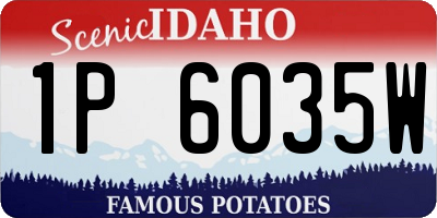 ID license plate 1P6035W