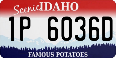 ID license plate 1P6036D