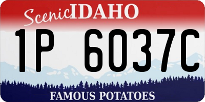 ID license plate 1P6037C