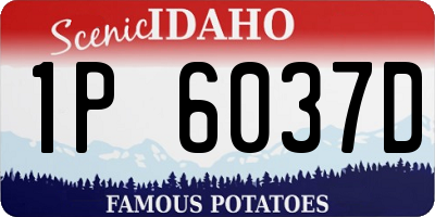 ID license plate 1P6037D