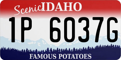 ID license plate 1P6037G