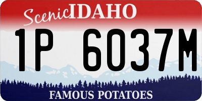 ID license plate 1P6037M