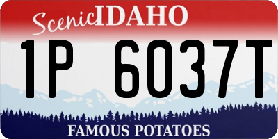 ID license plate 1P6037T
