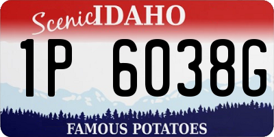 ID license plate 1P6038G