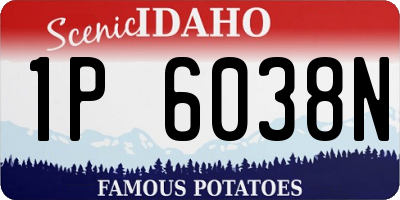 ID license plate 1P6038N