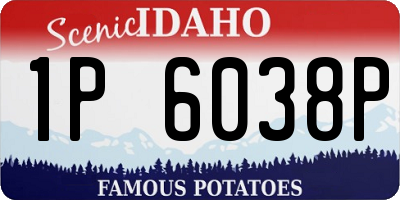 ID license plate 1P6038P