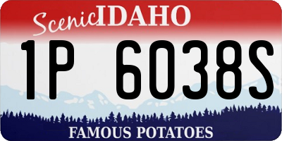ID license plate 1P6038S