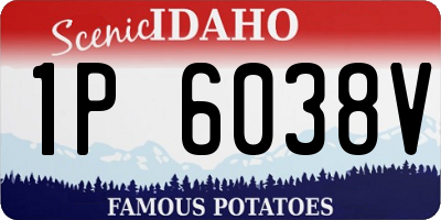 ID license plate 1P6038V