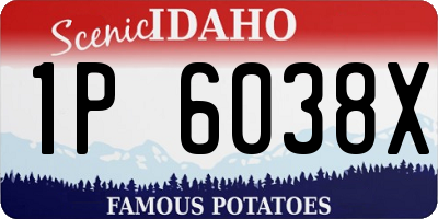 ID license plate 1P6038X