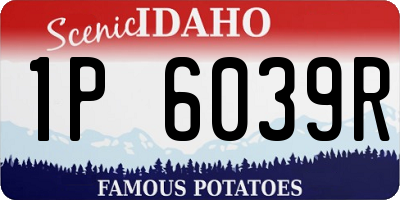 ID license plate 1P6039R