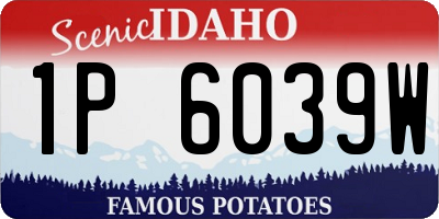 ID license plate 1P6039W